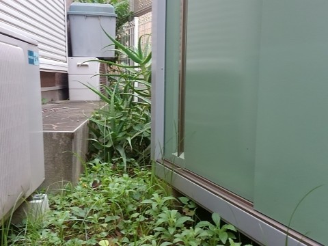 搬入出経路に樹木や倉庫などの障害物の例